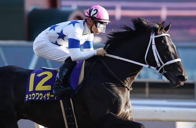 チュウワウィザード（Chuwa Wizard） | 競馬データベース | JRA