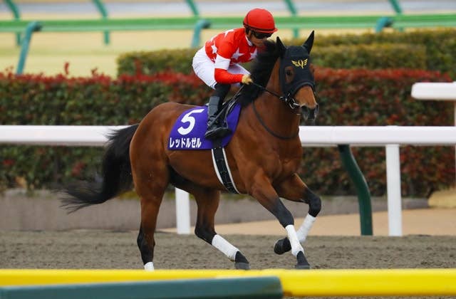 2022ドバイゴールデンシャヒーン | JRA-VAN ver.World