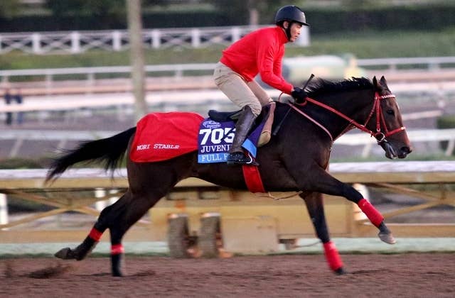 2022ゴドルフィンマイル | JRA-VAN ver.World