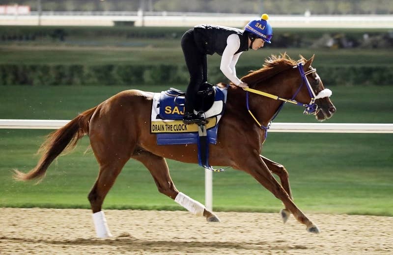 ドレインザクロック（Drain the Clock） 競馬データベース JRAVAN World 海外競馬情報サイト