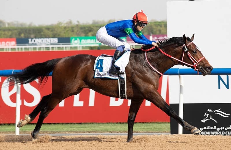 バスラットレオン（Bathrat Leon） | 競馬データベース | JRA-VAN