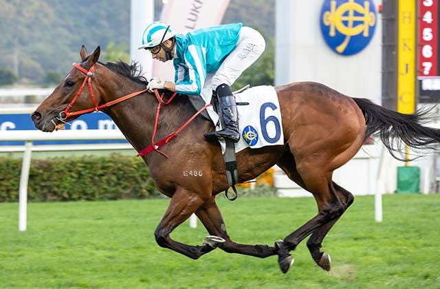 香港ダービー馬ロマンチックウォリアー クイーンエリザベス2世cも勝利 Jra Van Ver World