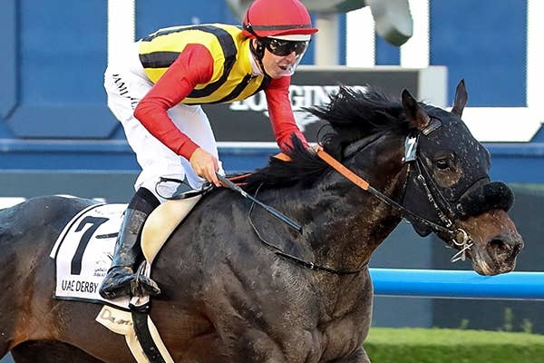 スペクタキュラービッド(Spectacular Bid) 競馬データベース JRAVAN Ver.World