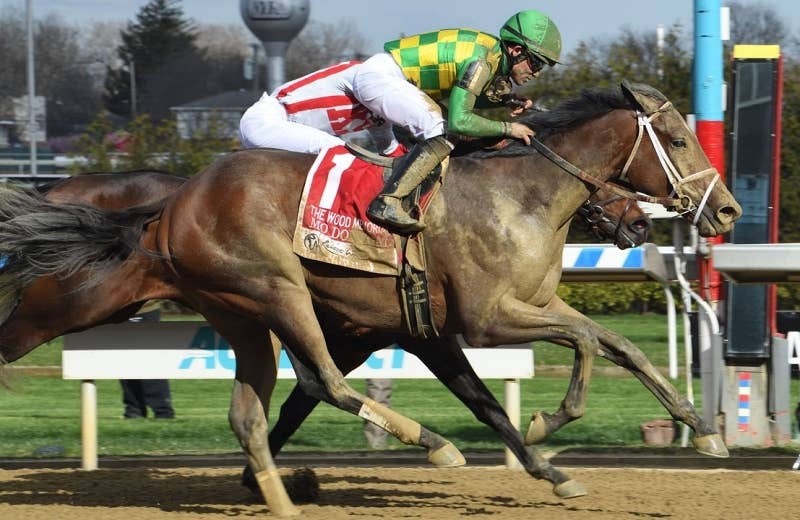 モードニゴール(Mo Donegal) | 競馬データベース | JRA-VAN モードニゴール(Mo Donegal) | 競馬データベース | JRA-VAN
