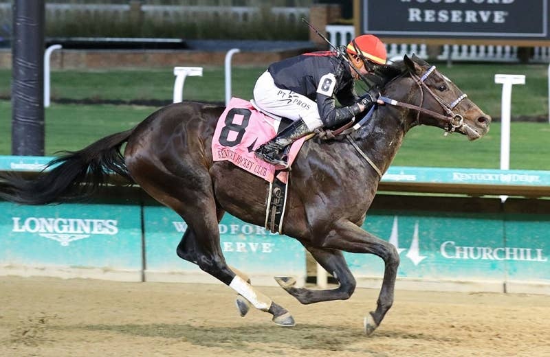 スマイルハッピー（Smile Happy） | 競馬データベース | JRA-VAN World