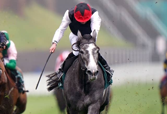 エネイブル　ENABLE エネイブル（Enable） | 競馬データベース | JRA-VAN World