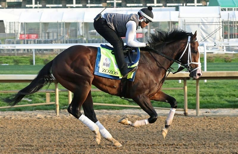 ゾゾス（Zozos） | 競馬データベース | JRA-VAN World - 海外