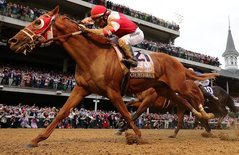 リッチストライク Rich Strike 競馬データベース Jra Van Ver World