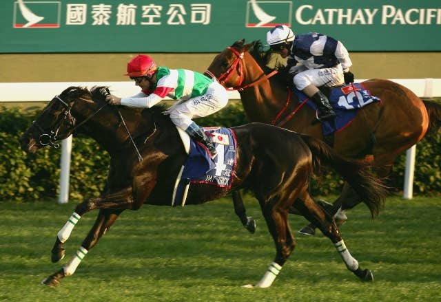 ハットトリック（Hat Trick） | 競馬データベース | JRA-VAN