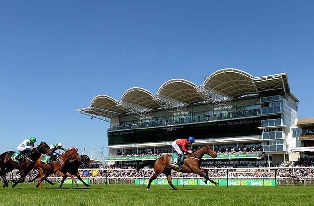 キングエルメス欧州遠征 英ジュライcから仏モーリスドゲスト賞へ 矢作師 今回は挑戦です Jra Van Ver World