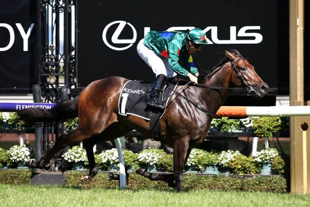 アリゲーターブラッドが復活、豪G1ストラドブロークHで約2年3カ月ぶりの勝利 JRAVAN World 海外競馬情報サイト