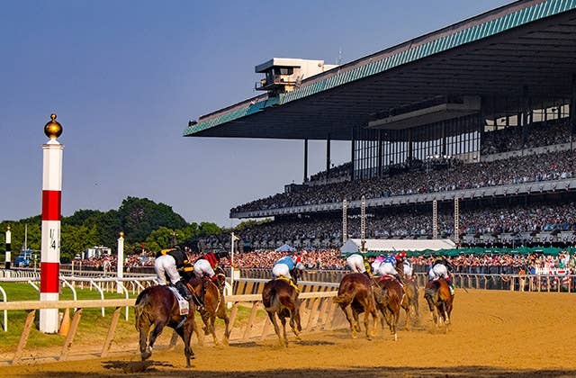 ジャッククリストファーが圧巻の10馬身差 米g1ウッディースティーブンスsを楽勝 Jra Van Ver World