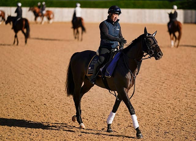 プリンスオブウェールズS】ノーザンファームしがらき松本場長「種牡馬