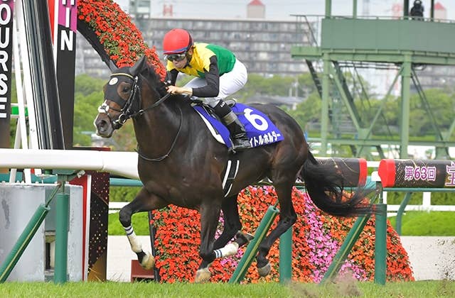 タイトルホルダーは凱旋門賞へ直行プラン、鞍上は横山和生騎手 | JRA