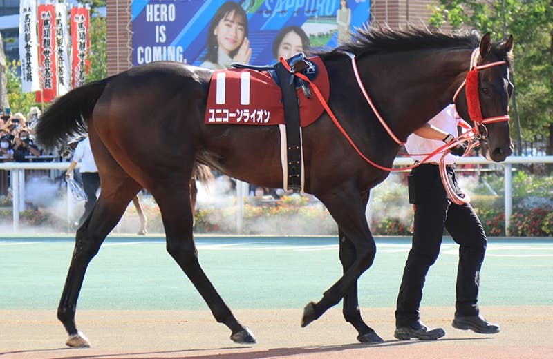 ユニコーンライオン（Unicorn Lion） | 競馬データベース | JRA