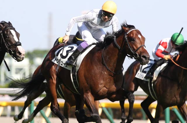 ドウデュース出走の仏G2ニエル賞、強敵はG1パリ大賞の上位陣 | JRA-VAN
