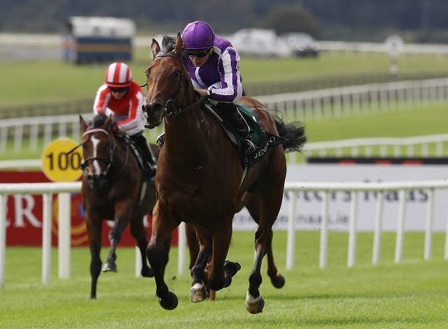 2歳G1で衝撃勝利のリトルビッグベア、馬体に「痛み」で予定が白紙に JRAVAN World 海外競馬情報サイト