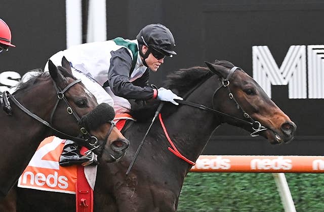 ミスターブライトサイド、豪G2ジョンFフィーハンS圧勝でコックスプレートに参戦表明 JRAVAN World 海外競馬情報サイト