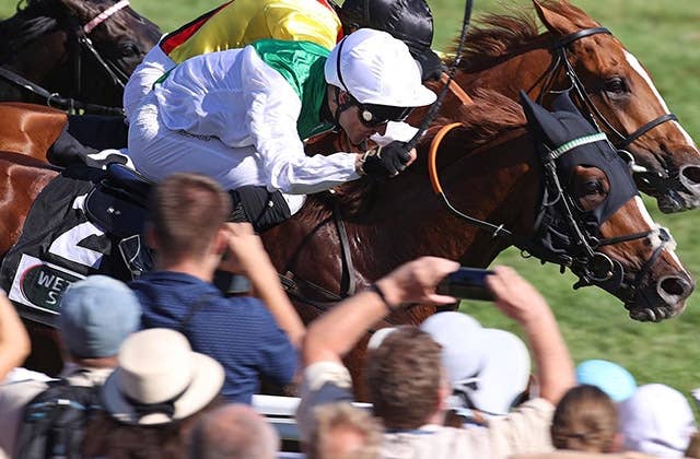 トルカータータッソ、独G1バーデン大賞で伏兵メンドシーノに不覚 JRAVAN World 海外競馬情報サイト