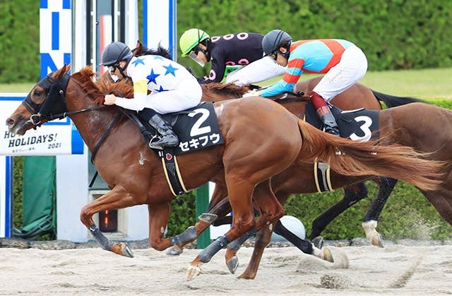 韓国国際競走、セキフウら日本馬は善戦するも勝利ならず JRAVAN World 海外競馬情報サイト