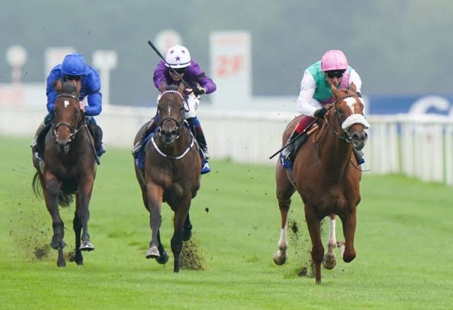 英2歳G2シャンペンS、シャルディーンが重賞2連勝 JRAVAN World 海外競馬情報サイト