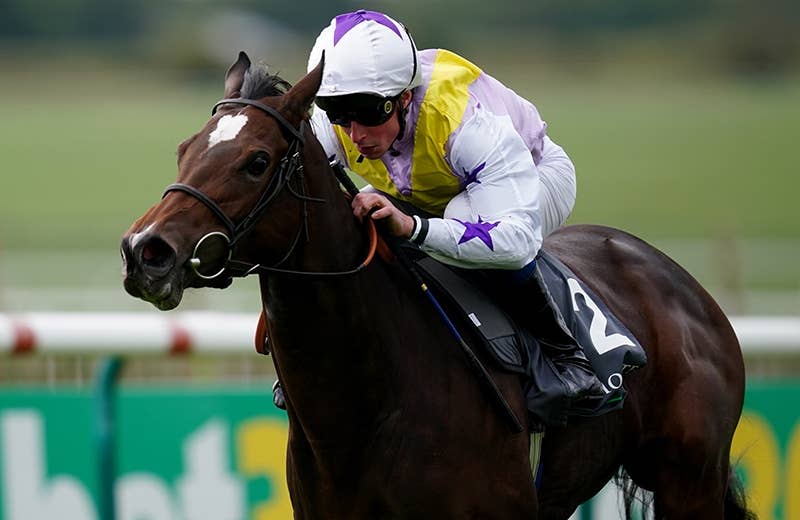 競馬ファンの方、海外レース、優勝馬 競馬ファンの方、海外レース、優勝馬 海外GⅠ勝利の瞬間！～52