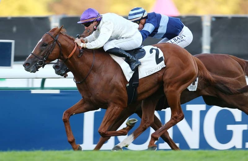 オネスト Onesto 競馬データベース Jra Van Ver World