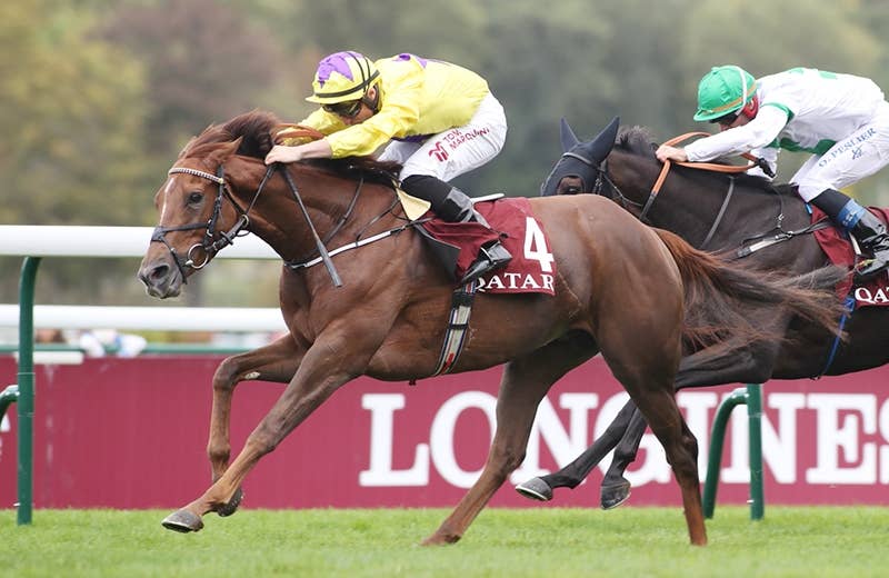 シーラローザ（Sea La Rosa） 競馬データベース JRAVAN World 海外競馬情報サイト