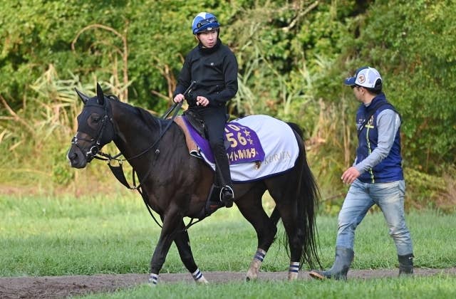 2022年 凱旋門賞 出走全馬 単勝馬券 アルピニスタ タイトルホルダー 