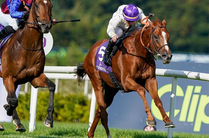 オネスト（Onesto） | 競馬データベース | JRA-VAN World - 海外競馬