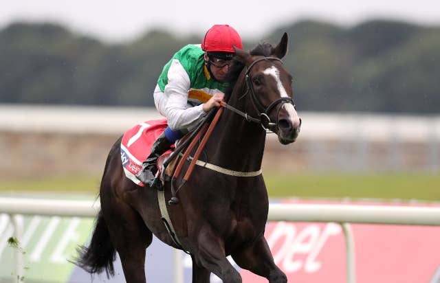 パイルドライヴァーがジャパンC回避、香港にも行かず来春のドバイシーマCを目標に JRAVAN World 海外競馬情報サイト