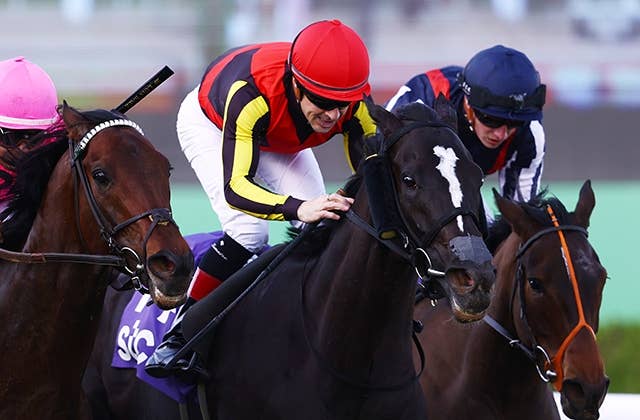 ソングラインが香港マイルを辞退 右前脚の蹄を痛める 所有クラブが公式