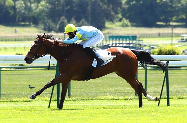 【ジャパンC】外国馬6頭が招待受諾 昨年5着グランドグローリー、パリ大賞Vオネストなど JRAVAN World 海外競馬情報サイト