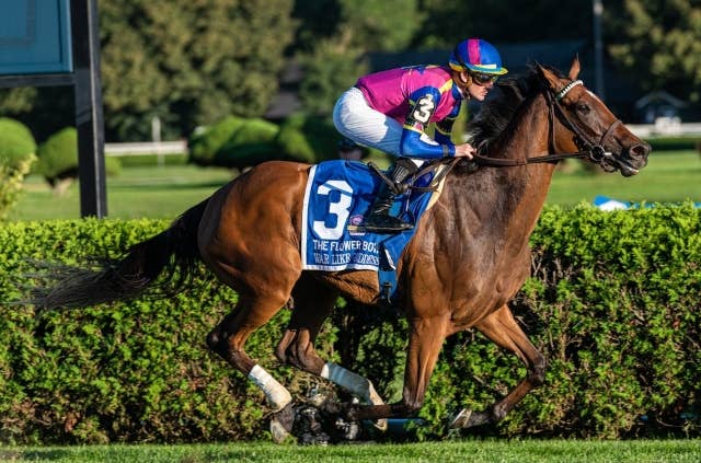 米で重賞7勝のG1牝馬ウォーライクゴッデス、有馬記念に予備登録 | JRA