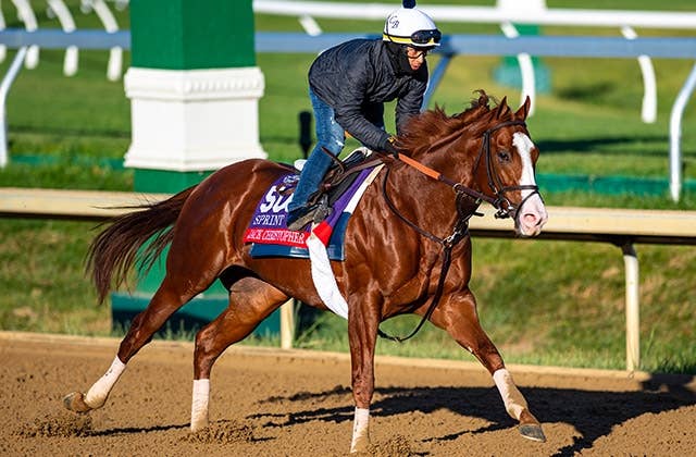 米G1を3勝のジャッククリストファーが引退、アシュフォードスタッドで種牡馬入り JRAVAN World 海外競馬情報サイト