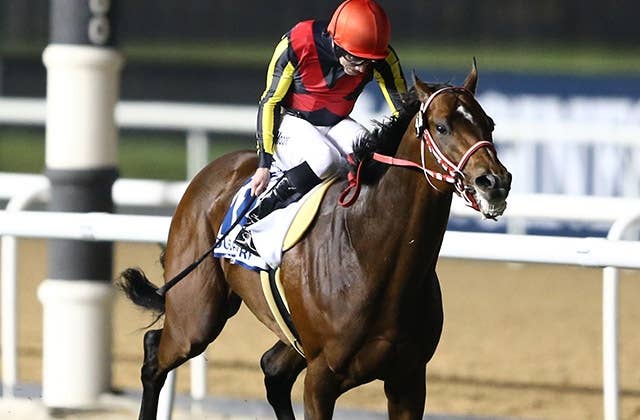 競馬　直筆サイン　モーリス　リアルスティール　ムーア　デムーロ リアルスティール（Real Steel） | 競馬データベース | JRA-VAN