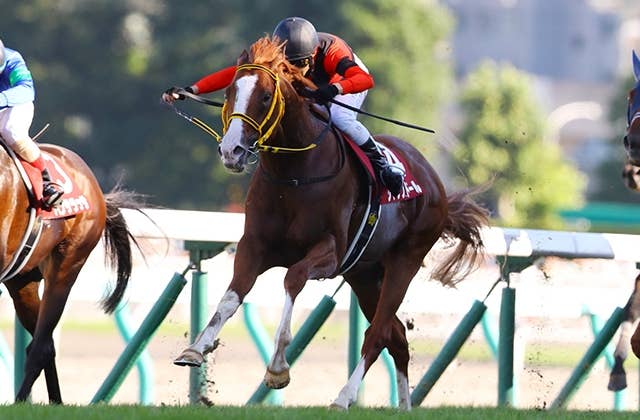 ジャックドール、次走12・11香港Cで武豊と新コンビ 天皇賞・秋は