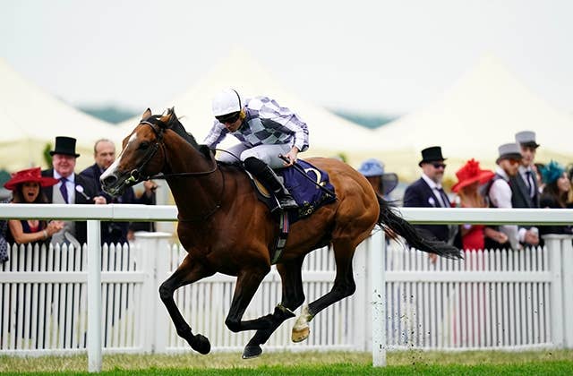 ジャパンカップ外国馬の現地購入馬券 ジャパンカップ外国馬の現地購入馬券