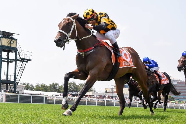 サトノアラジン産駒の3歳馬セイクリッドサトノ、ニュージーランドG3で
