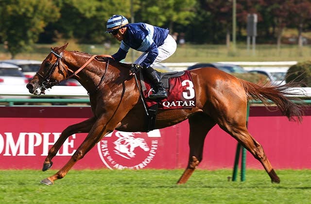 シムカミル初の海外輸送クリア、「ジャパンCはいい選択だった」と