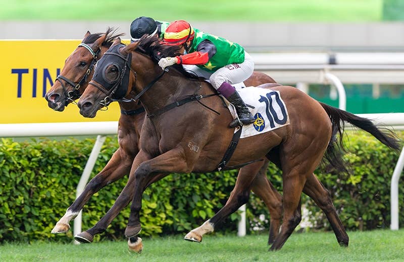 会馬公式 日本軽種馬協会静内種馬場で種付安全祈願祭 | 馬産地ニュース | 競走馬
