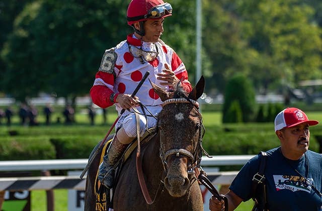 マインドコントロールが3年4カ月ぶりのG1制覇、米シガーマイルHで引退の花道飾る JRAVAN World 海外競馬情報サイト