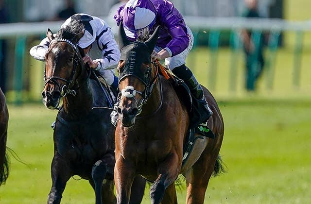 社台ファーム、英G2勝ち馬ハローユーを2.2億円で落札 JRAVAN World 海外競馬情報サイト