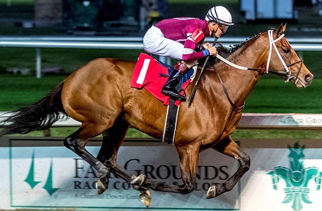 BCクラシックで故障のエピセンターが種牡馬入り、初年度種付け料は600