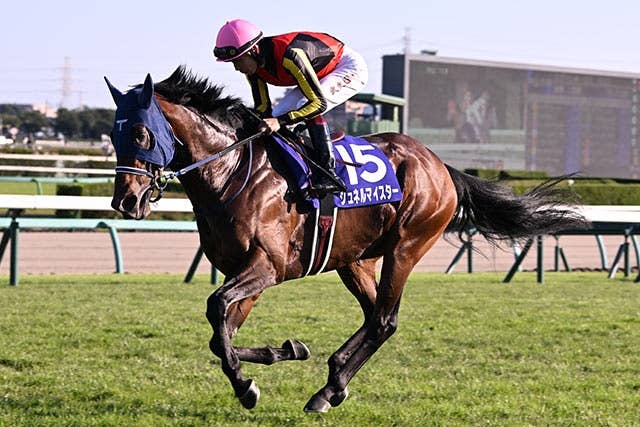 2022香港マイル | JRA-VAN ver.World