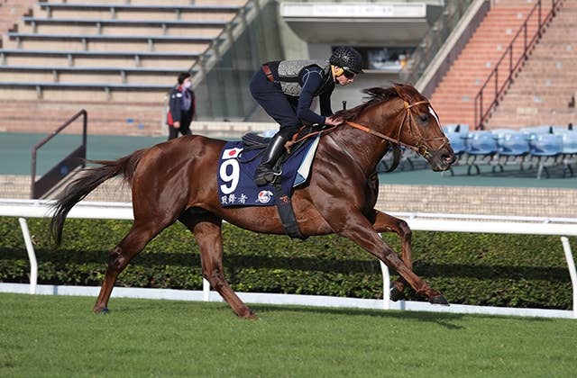 香港マイル（G1） 2022/12/11(日) | 日程・結果 | JRA-VAN World