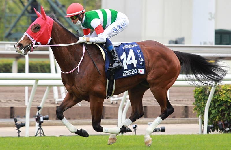 レシステンシア（Resistencia） | 競馬データベース | JRA-VAN World