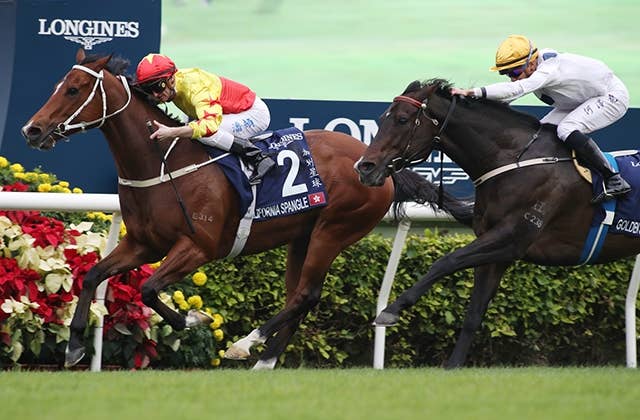 香港3強、来年1月のg1スチュワーズカップで揃い踏みか Jra Van World 海外競馬情報サイト