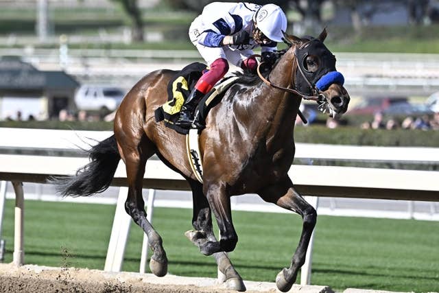 米G2サンアントニオS、来年引退のデットーリ騎手がカントリーグラマーで圧勝 JRAVAN World 海外競馬情報サイト