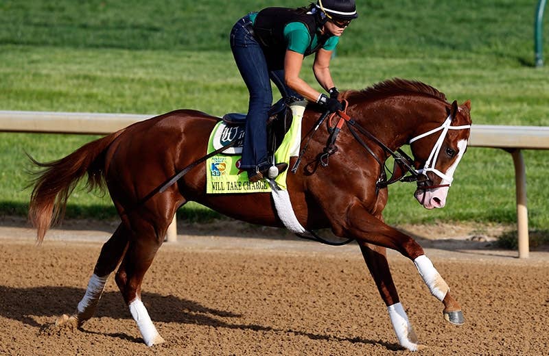 ウィルテイクチャージ（Will Take Charge） 競馬データベース JRAVAN World 海外競馬情報サイト